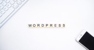 Profesyonel Blog Yazımı ve İçerik Oluşturma Paketleri